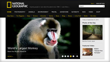 自动化测试的在线网页发短信